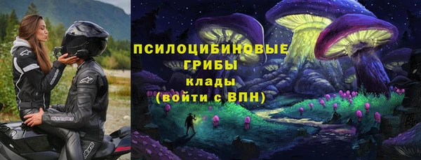 мяу мяу мука Алексеевка