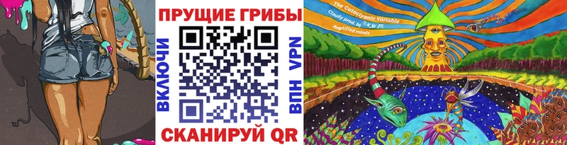 Псилоцибиновые грибы Cubensis  MEGA ссылки  Исилькуль 